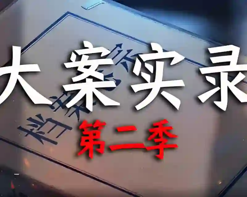 大案实录 第二季